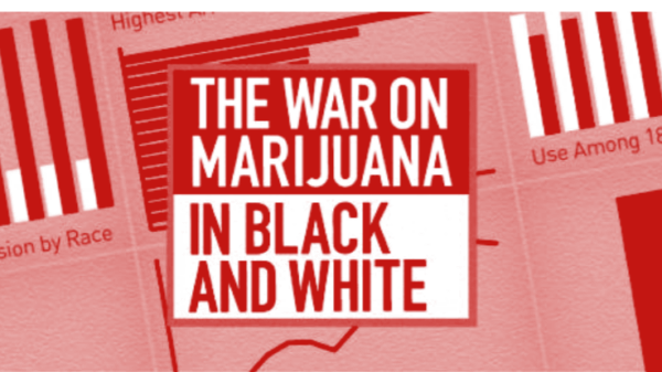 The War on Marijuana