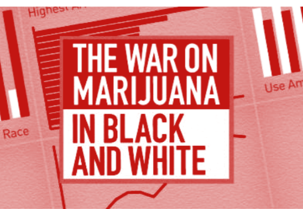 The War on Marijuana