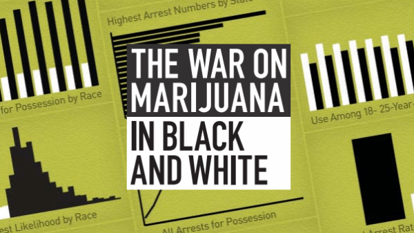 The War on Marijuana