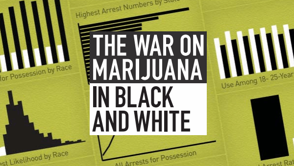 The War on Marijuana