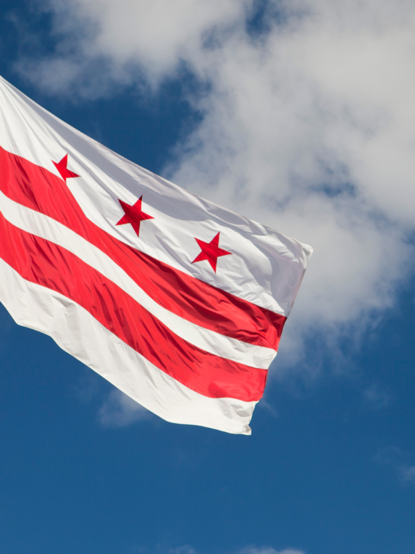 dc flag