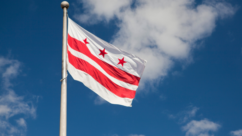 dc flag