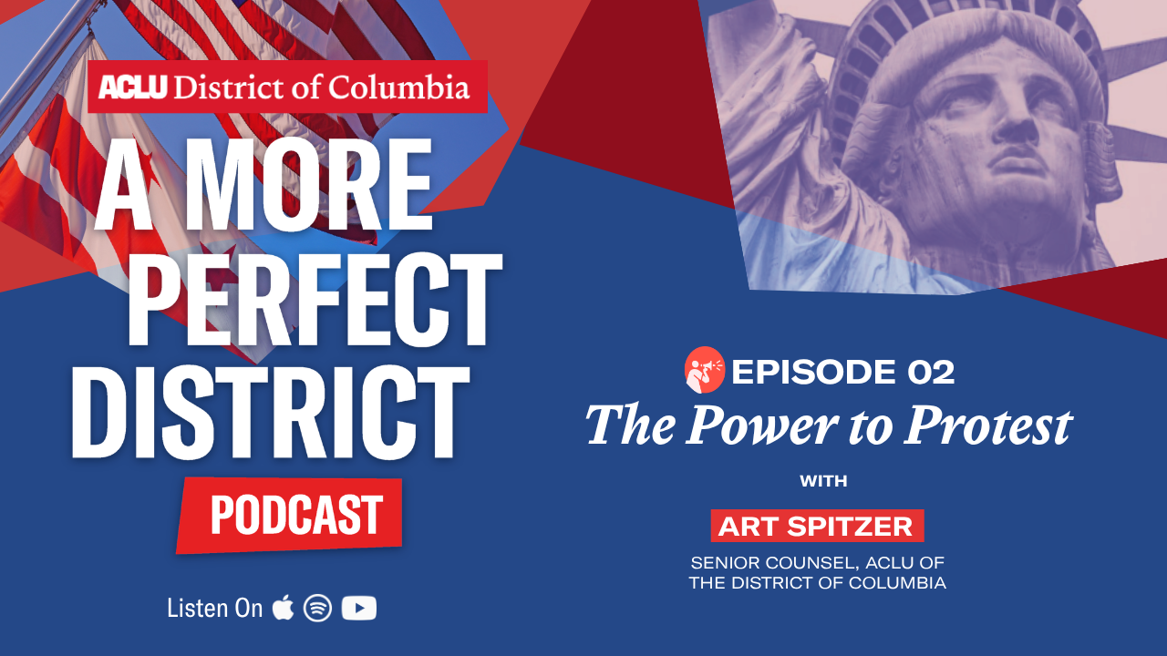 A more perfect district podcast, episode 2, the power to protest with Art Spritzer.