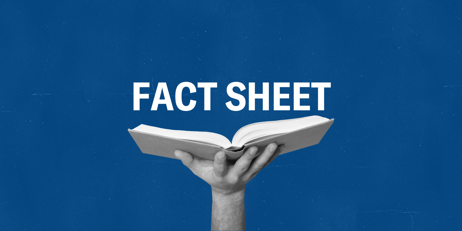 fact sheet