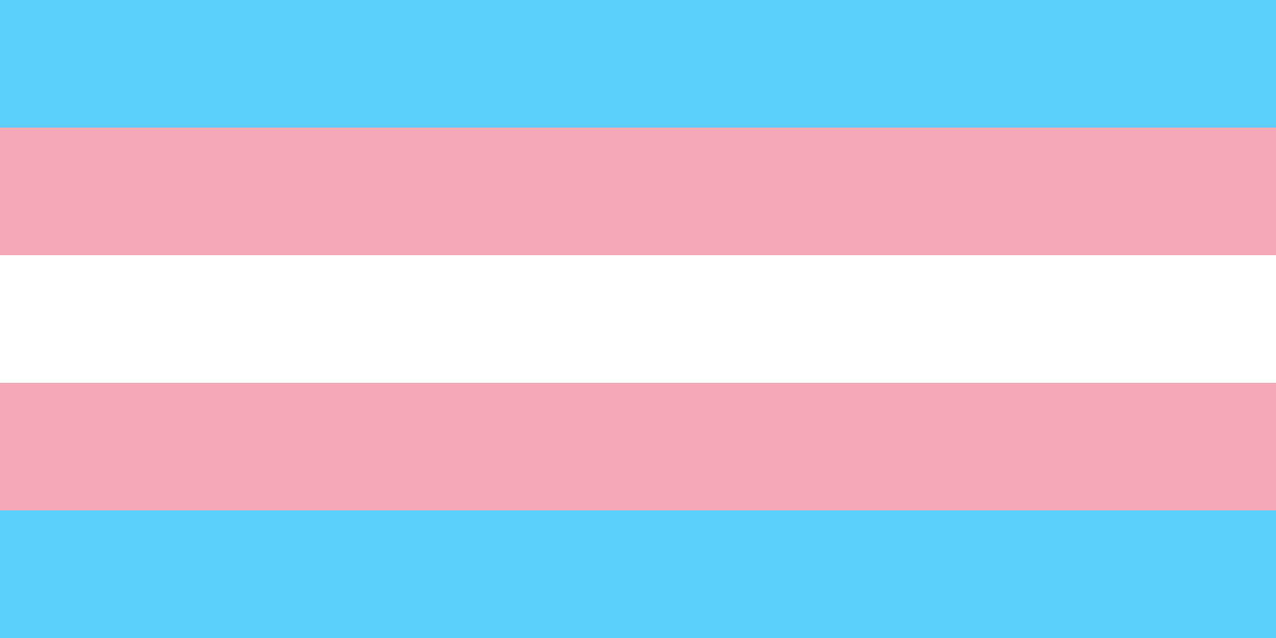 Transgender pride/rights flag