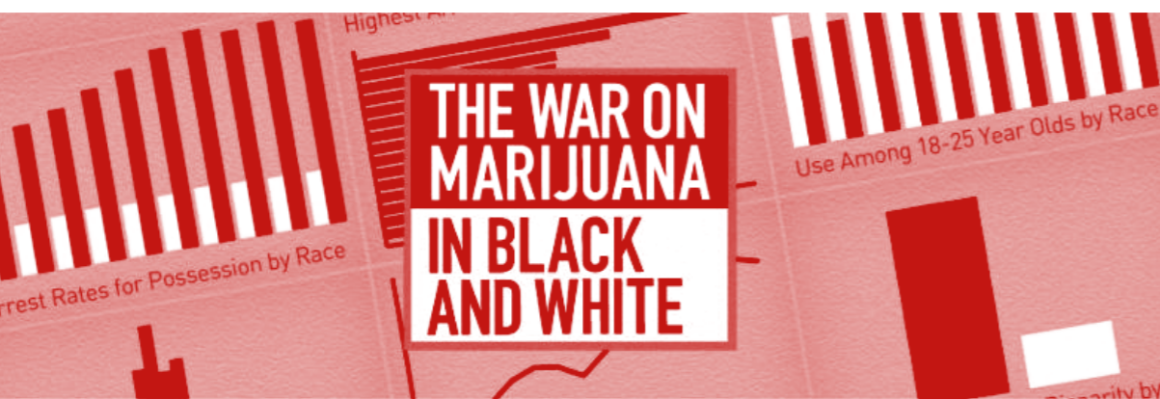 The War on Marijuana