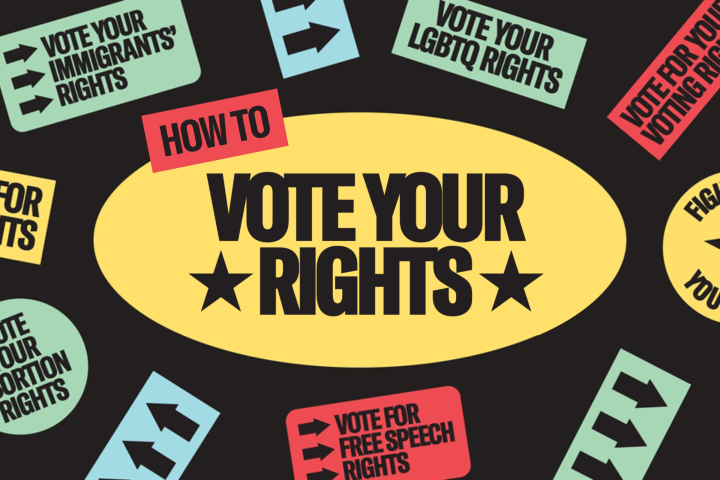 it's time to: vote your rights