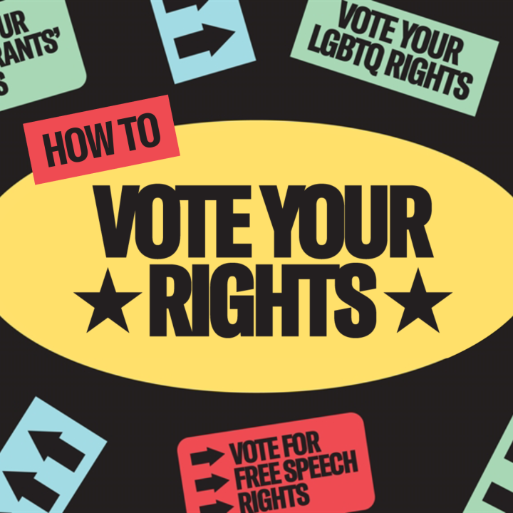 it's time to: vote your rights