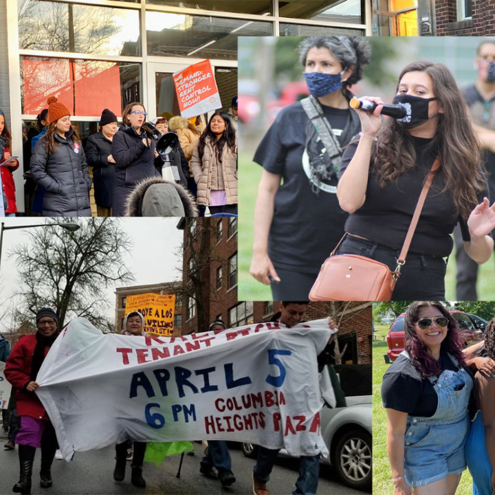 veronica mosqueda collage